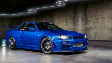 r34 World