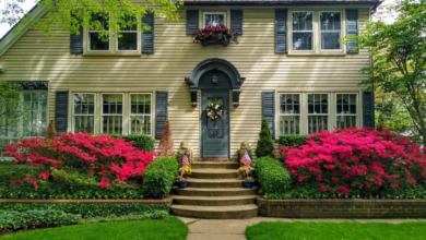 Front Yard Landscaping Ideas