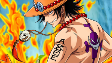 Ace One Piece